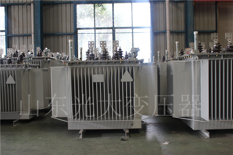 S20-500KVA/10KV